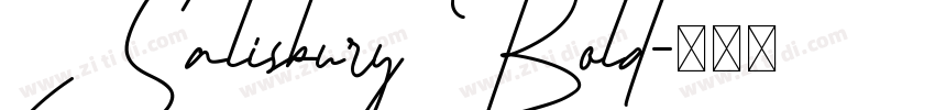 Salisbury Bold字体转换 Salisbury Bold字体转换